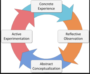 David Kolb's experiential learning model
